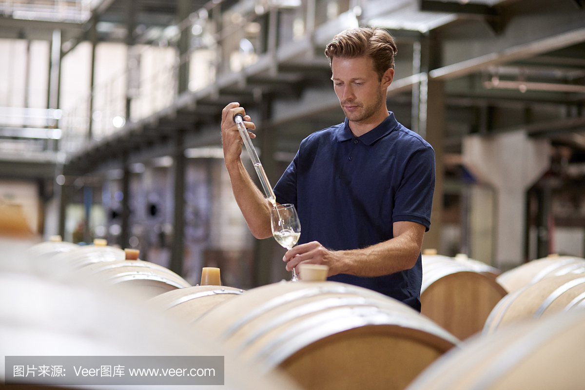 一個年輕人在葡萄酒工廠的倉庫里測試葡萄酒