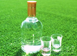 濟(jì)陽(yáng)縣食藥監(jiān)局對(duì)時(shí)令食品進(jìn)行嚴(yán)格檢查